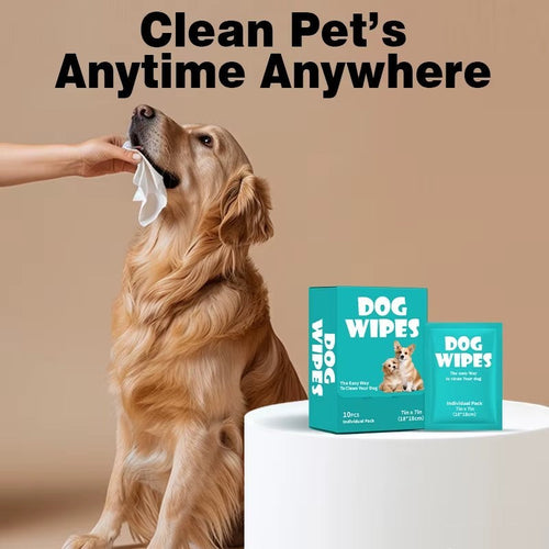 My Store universal pet cleaning wipes in individual packs, being used to gently clean a golden retriever's face.