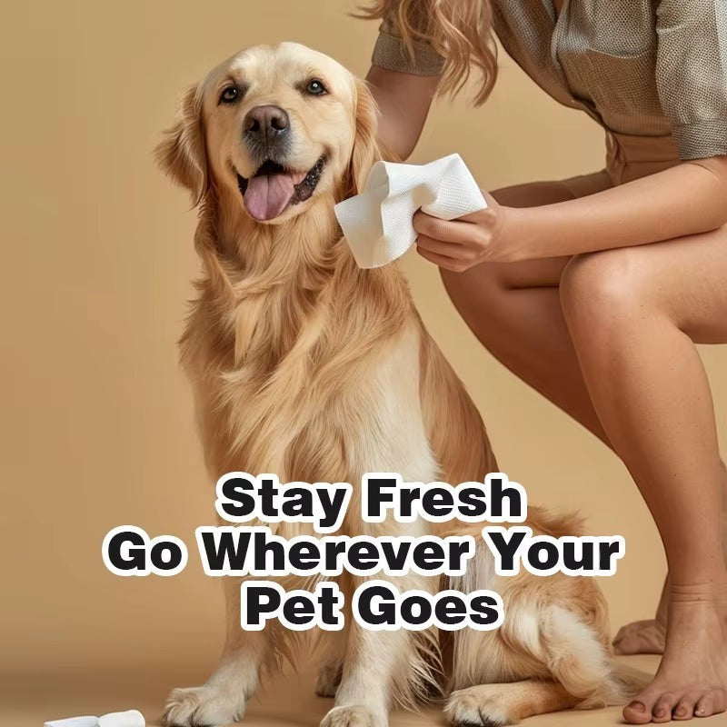 My Store universal pet cleaning wipes being used by a person to groom a happy golden retriever on a beige background.