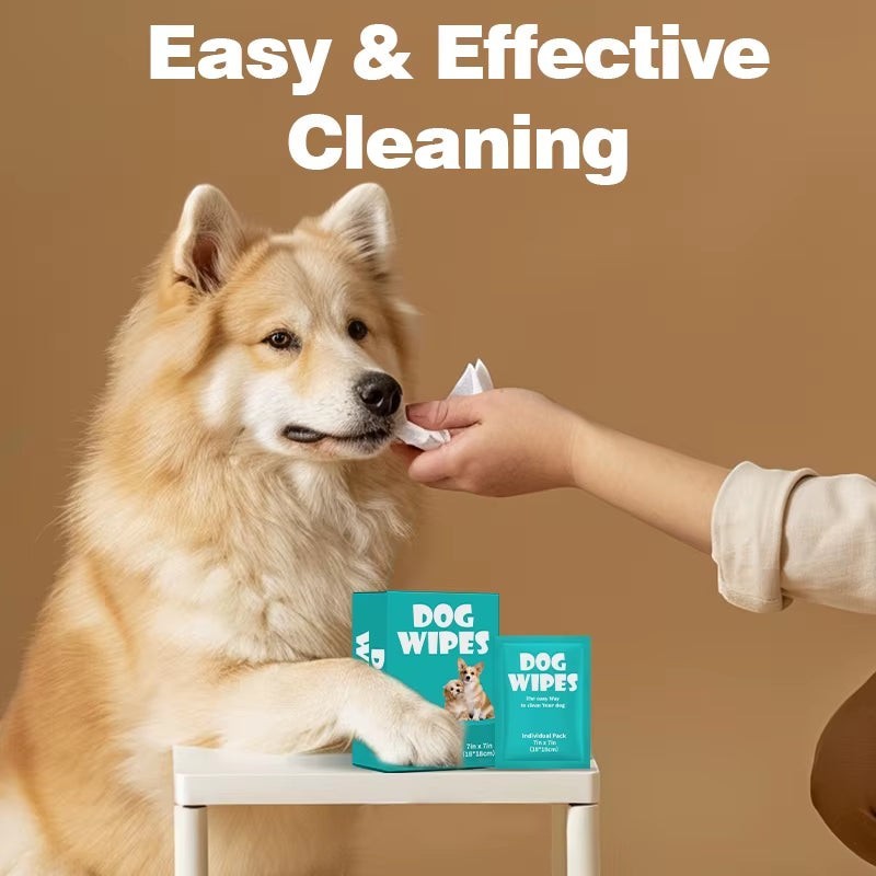My Store universal pet cleaning wipes being used to clean a dog's face, featuring 7x7 inch individual packs.